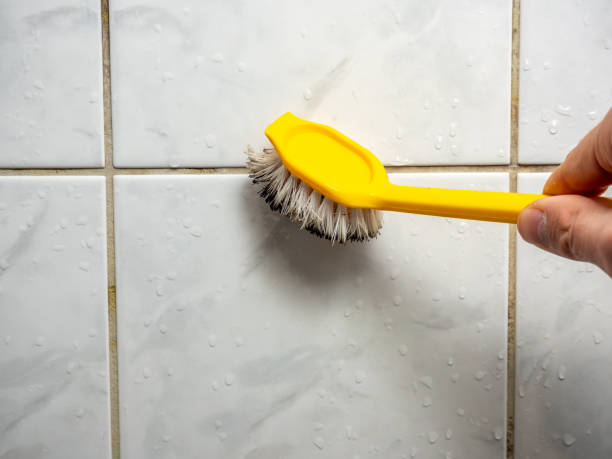 Best Home Mold Removal  in Lodi, NJ
