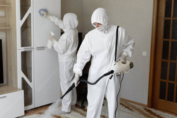 Mold Testing and Removal in Lodi, NJ
